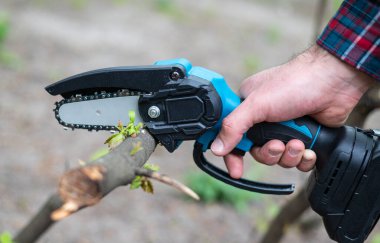 Hand holds light chain saw with battery to trim broken branch of an tree, in sunny day clipart