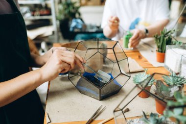 DIY Florarium konsepti. Yetenekli bir çiçekçi kadın cam geometrik vazoya toprak döküyor, küçük bitkilerle botanik sanatı kompozisyonu oluşturuyor, kendi serasında çalışıyor.