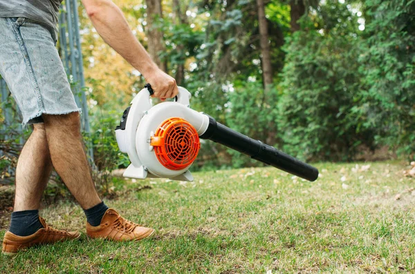Cordless Leaf Blowers Handheld Cordless Electric Leaf Blower Garden Selective — Stock Photo, Image