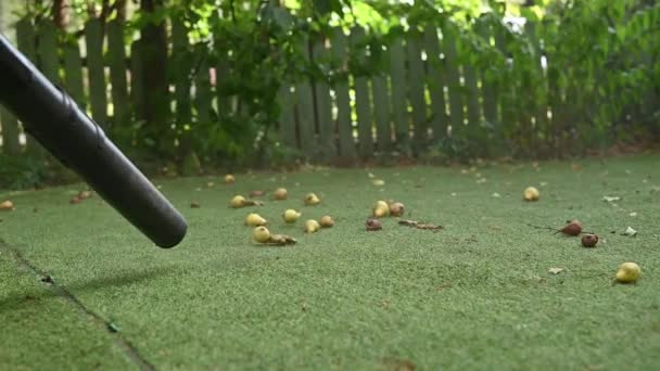 コードレスリーフブロー 庭のハンドヘルド コードレス 電気葉の送風機 選択的な焦点 秋のガーデニングは 芝生の上に裏庭で働いています ガーデンワークス — ストック動画