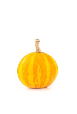 Dekoratif, küçük, çizgili sarı balkabağı izolasyonu beyaz arka planda