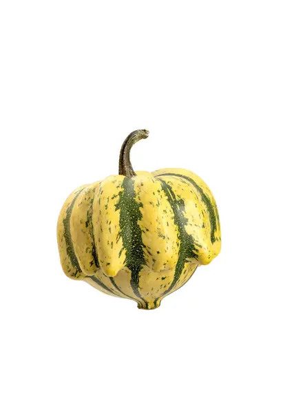 Yellow Green Zucchini Patison Isolated White High Quality Photo — Stock Photo, Image
