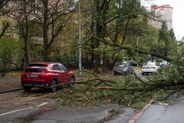 Devrilen ağaç yolu kapattı ve Ukrayna, Kyiv 'deki yolda tıkanıklığa neden oldu. 28 Ekim 2023