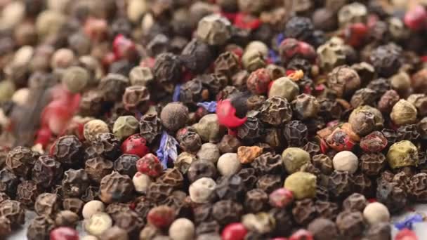 Peppercorns Food Spices Mix Peppercorns Coloridos Rotação Fechar — Vídeo de Stock