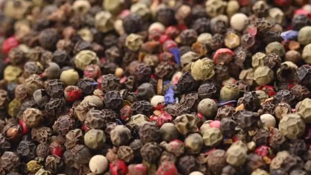 Peppercorns Food Spices Mix Colorful Peppercorns Concept Fresh Spices Cooking — Stock Video