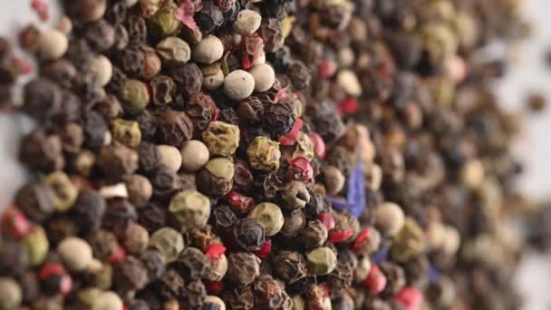 Peppercorns Food Spices Mix Colorful Peppercorns Close — Stock Video