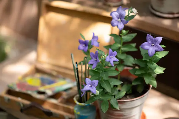 stock image Artists Corner with Purple Flowers. 