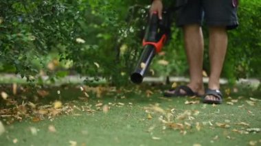 Kablosuz Yaprak Emiciler. El bilgisayarı, kablosuz, bahçede elektrikli yaprak üfleyici, seçici odaklanma. Sonbahar, sonbahar bahçıvanlığı arka bahçede, çimlerde, çimlerde işe yarar. Bahçe işleri. 