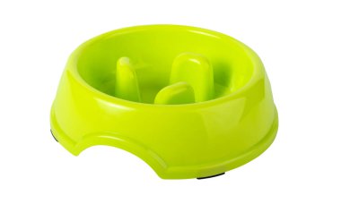 Parlak yeşil evcil hayvan kasesi, kedi ve köpekler için, beyaz arka planda izole edilmiş. 