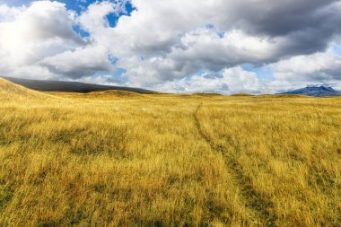 And arazisi, kumsalları, kaya, yosun ve liken ve Cotopaxi ve Morurco eteklerindeki uzun bitki örtüsü.