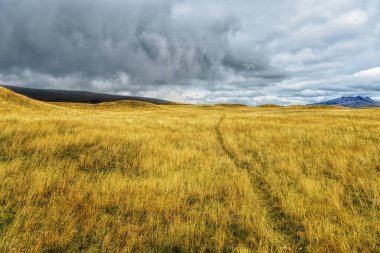 And arazisi, kumsalları, kaya, yosun ve liken ve Cotopaxi ve Morurco eteklerindeki uzun bitki örtüsü.