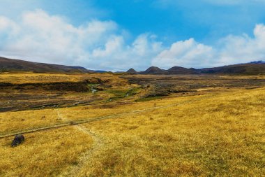 And arazisi, kumsalları, kaya, yosun ve liken ve Cotopaxi ve Morurco eteklerindeki uzun bitki örtüsü.