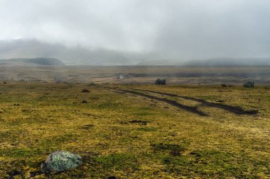Misty Cotopaxi Ulusal Parkı, Cotopaxi Eyaleti, Ekvador