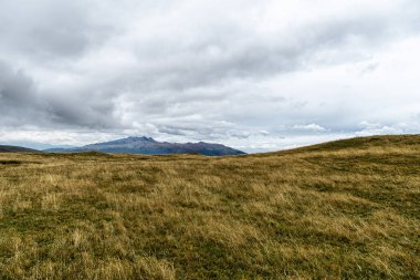 Ulusal Park Cotopaxi Manzarası, Ekvador, Güney Amerika
