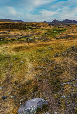 Cotopaxi Milli Parkı, Ekvador 'un Ekvador eyaleti Napo Eyaleti ve Pichincha Eyaleti' nde, Quito 'nun yaklaşık 50 km güneyinde, Ekvador' da korunan bir alandır.