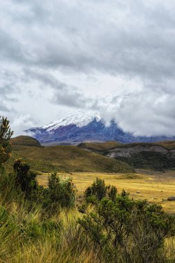 Cotopaxi Volkanı bulutlarda saklanıyor, Cotopaxi Ulusal Parkı, Cotopaxi Eyaleti, Ekvador