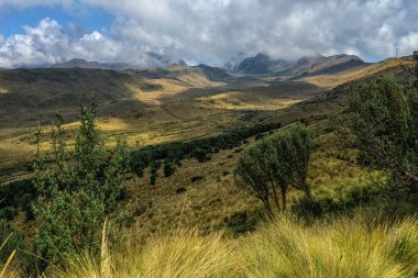 Ekvador, Quito 'daki Pichincha Volkanı' nın Cruz Loma çevresinin manzarası ve doğası..