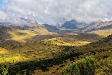 Ekvador, Quito 'daki Pichincha Volkanı' nın Cruz Loma çevresinin manzarası ve doğası..