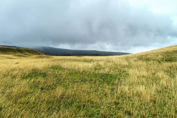 stock image Landscape view of Cotopaxi National Park in Central Ecuador, home to andean vegetation like Lupinus bogotensis