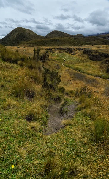 Ekvador Cotopaxi Ulusal Parkı Paramo Çayır Manzarası — Stok fotoğraf