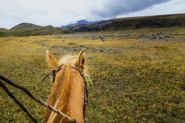 Катание Лошадях Эквадоре — стоковое фото