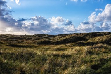 Kuzey denizi, Ameland, Hollanda yakınlarındaki kum tepeleri ve çimen manzaraları