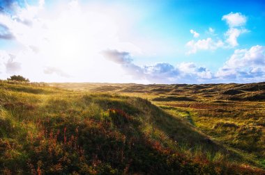 Batı Frizya adası Ameland, Friesland, Hollanda 'daki Kum tepeleri, Kuzey Denizi ve Waddensea doğa koruma alanı.