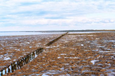 Dalgalar çekildiğinde bulutlarla birlikte dramatik gökyüzü altında çamur düzlüğü, Hollanda