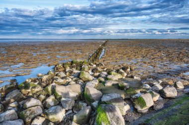Channel Tidal Marshland Ulusal Parkı ve Unesco Dünya Mirası Bölgesi Waddensea, Friesland, Hollanda