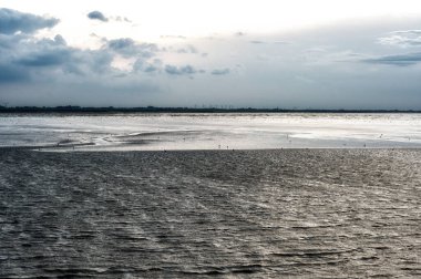 UNESCO 'nun dünya doğal mirası Wadden Denizi' nde sular çekildiğinde ortaya çıkan gelgit düzlükleri. Kanallar ve dereler tarafından kesilen kumlu ya da alüvyonlu bankalar..
