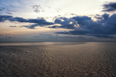 UNESCO 'nun dünya doğal mirası Wadden Denizi' nde sular çekildiğinde ortaya çıkan gelgit düzlükleri. Kanallar ve dereler tarafından kesilen kumlu ya da alüvyonlu bankalar..