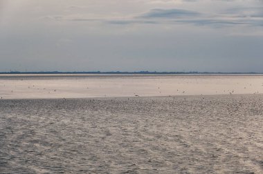 UNESCO 'nun dünya doğal mirası Wadden Denizi' nde sular çekildiğinde ortaya çıkan gelgit düzlükleri. Kanallar ve dereler tarafından kesilen kumlu ya da alüvyonlu bankalar..