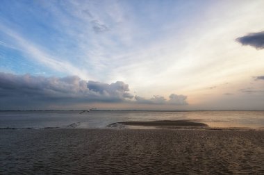 UNESCO 'nun dünya doğal mirası Wadden Denizi' nde sular çekildiğinde ortaya çıkan gelgit düzlükleri. Kanallar ve dereler tarafından kesilen kumlu ya da alüvyonlu bankalar..