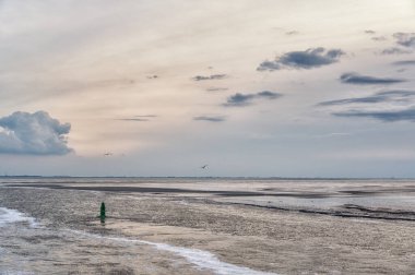 UNESCO 'nun dünya doğal mirası Wadden Denizi' nde sular çekildiğinde ortaya çıkan gelgit düzlükleri. Kanallar ve dereler tarafından kesilen kumlu ya da alüvyonlu bankalar..