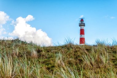 Ameland 'ın güzel deniz feneri (Bornrif). Deniz feneri Bornrif, Hollanda 'nın Ameland adasında heybetli bir manzara.