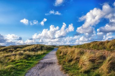 Ameland, Hollanda 'nın kum tepelerinde bir patika.