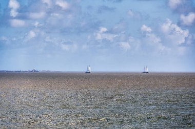 Bir yaz gününde Wadden Denizi üzerinde Frizce coast, Hollanda yakınında yelken yelkenli.
