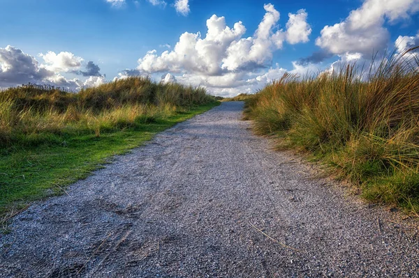Path Dune Landscape Wadden Sea Frisian Dutch Island Ameland — Stock Photo, Image