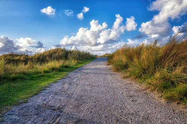 Path Dunes Ameland Netherlands — Stock Photo, Image