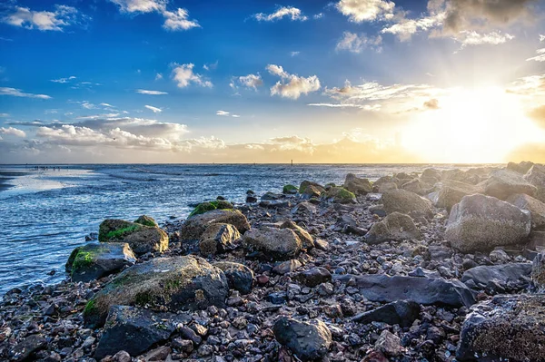 Skály Pláži Waddenský Ostrov Krajina Ameland Holland Nizozemsko — Stock fotografie