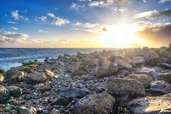 stock image Rocks on the beach, Wadden island landscape Ameland Holland, Netherlands