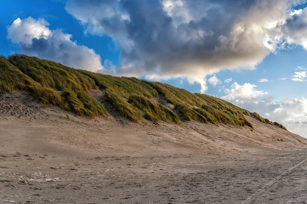Dunes Vokste Opp Med Strandgress Nordsjøstrand Ameland Øya Nederland – stockfoto