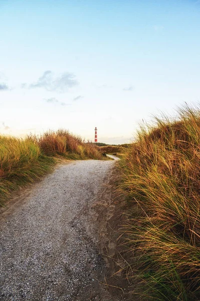 Path Leading Dunes Lighthouse Ameland Netherlands — Stock Photo, Image