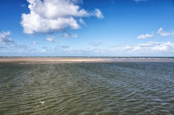 Múltiplos Selos Relaxando Sandbar Entre Ilhas Ameland Terschelling Holanda — Fotografia de Stock