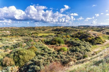 'Amsterdamse waterleidingduinen' Zandvoort (Noord-Holland) ile Noordwijk 'teki Langevelderslag (Zuid-Holland) arasında bir kum tepesidir. Hollanda 'da.