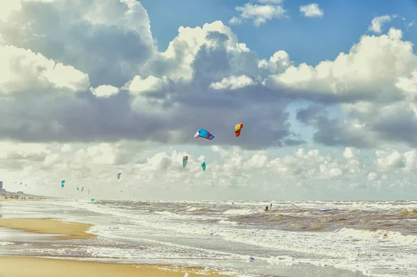 Draci Surfaři Vodě Severního Moře Zandvoort Nizozemsko — Stock fotografie