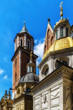Wawel Katedrali Wawel Hill, Krakow, Polonya
