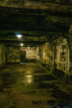 Oswiecim, Poland- 15 August 2022: Gas chamber I, located in the field of Auschwitz I. It is the only one still standing. German Nazi concentration camps & extermination camps built and operated by the Third Reich in Poland