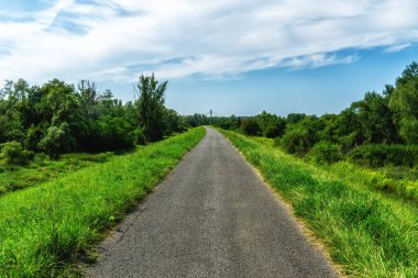 Bahar mevsiminde Krakow şehri yakınlarındaki Vistula nehri boyunca kırsal yol, Polonya