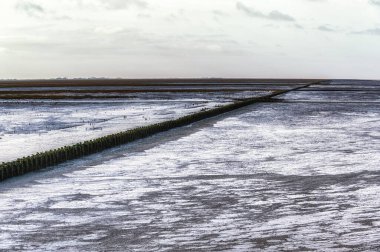 Wadden Denizi 'nin çamurlu düzlüğü. Düşük gelgitte UNESCO Dünya Mirası sahası. Ameland, Hollanda.